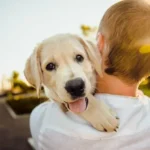 Furry Friends: An In-Depth Look at the Incredible Bond Between Pets and Their Humans